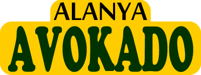 Alanya Avokado Sipariş